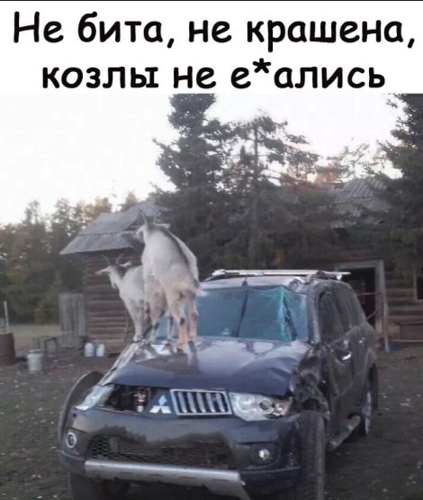 Как это едет?