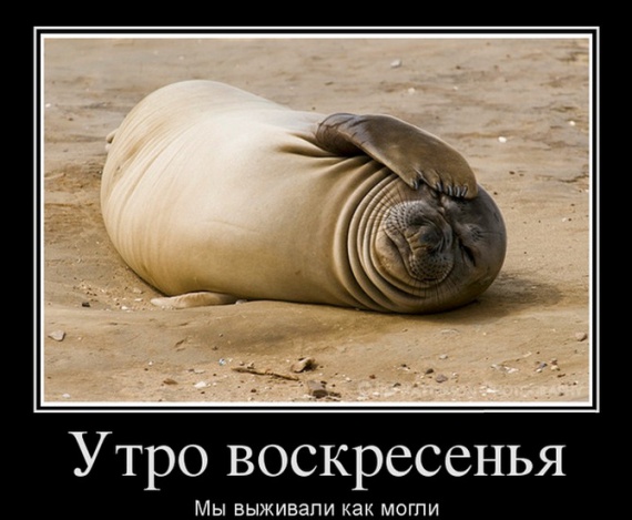 Алкопост 7.11.20