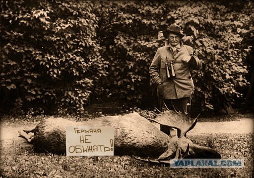 Фотожаба: Германа не обижать!