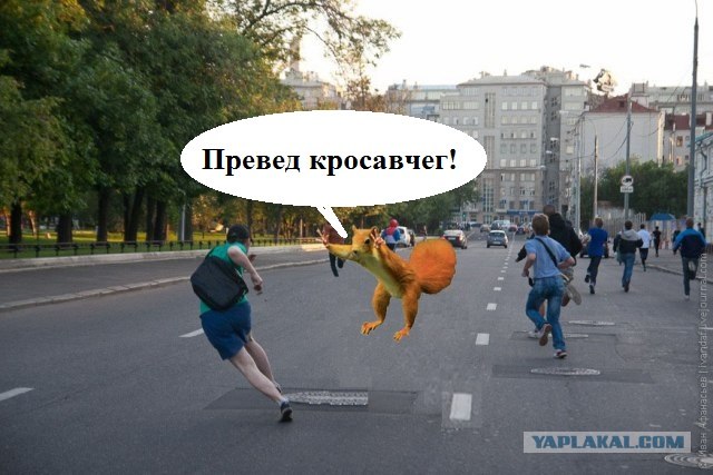 Фотожаба: Белка как бы говорит нам...