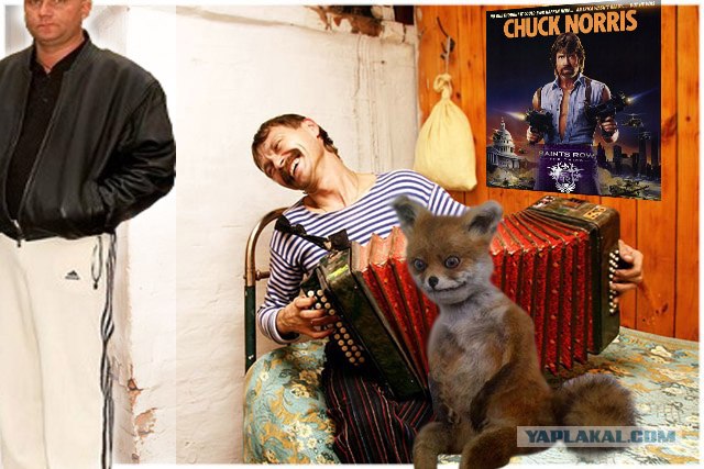 Таксидермия + наркомания