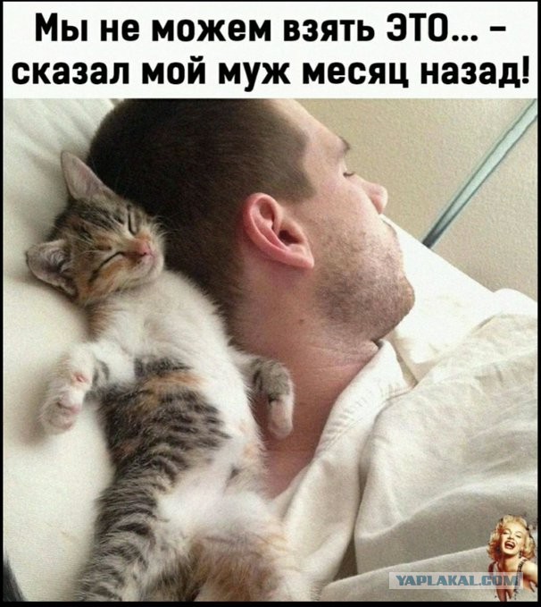 Бредзона 20.01.2021