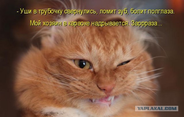 Споёмте, друзья