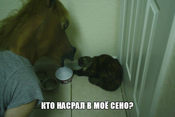 Просто фото...