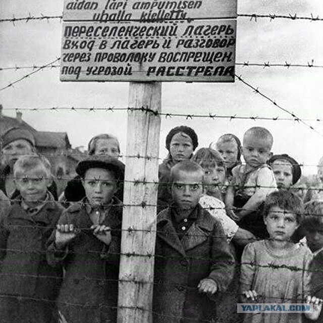 Зомби-апокалипсис 2022