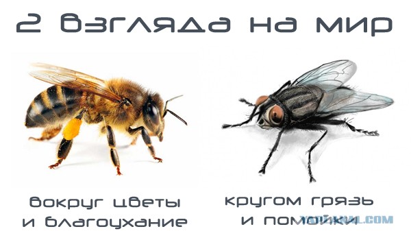 Безбуховный запад. Часть четвертая