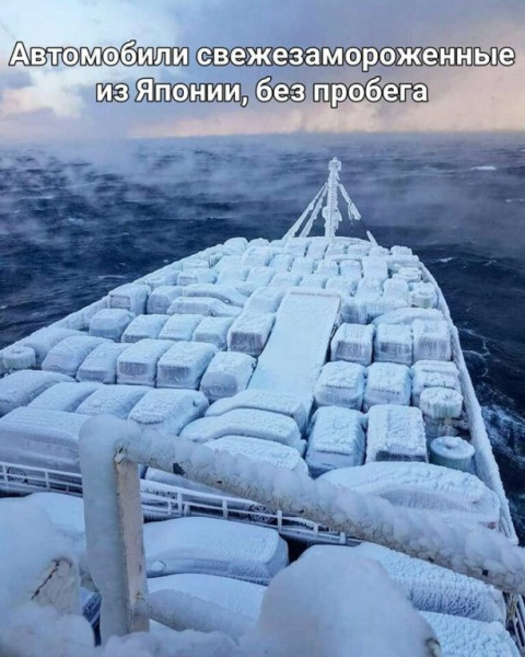 Баянисто-небаянистый юмор 2.02.22
