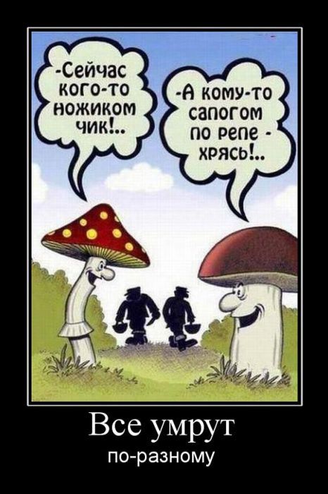 Поход одного дня - Кок-Жайляу