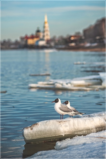 15 плюсов холостяцкой жизни