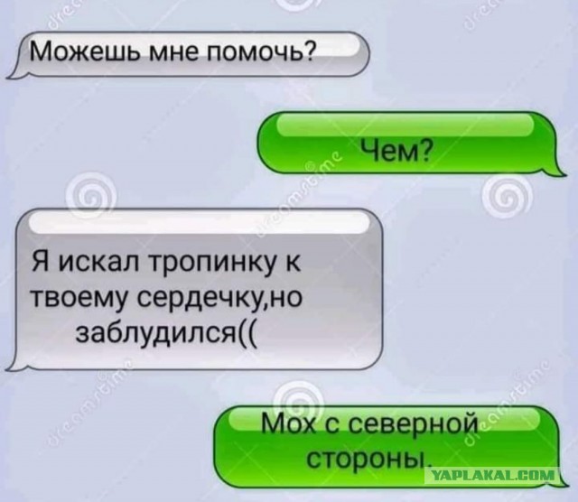 Так себе картинки 23.04.22