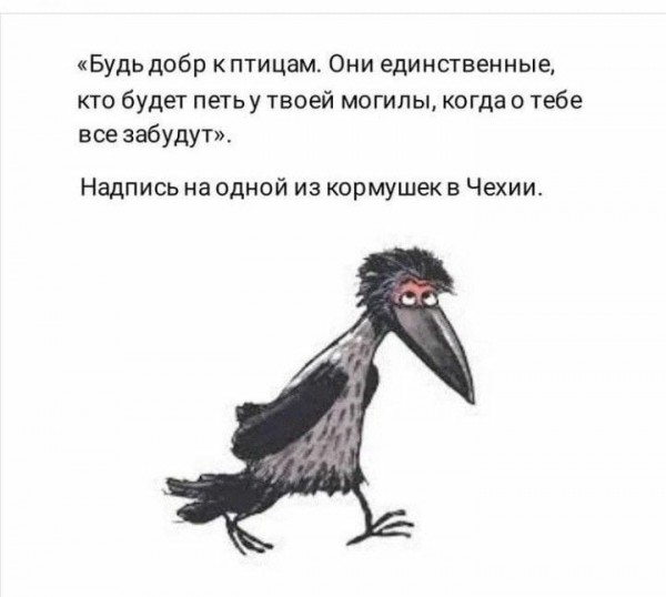 Фото-винегрет-5. Картинки ниапчём и обо всём