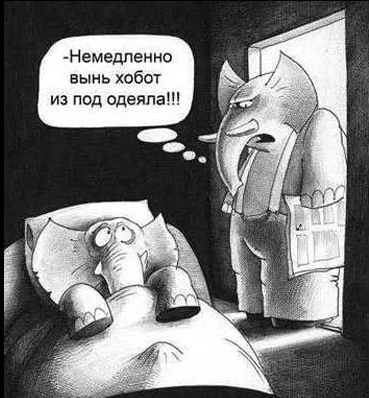 Как европейцы раньше представляли слона