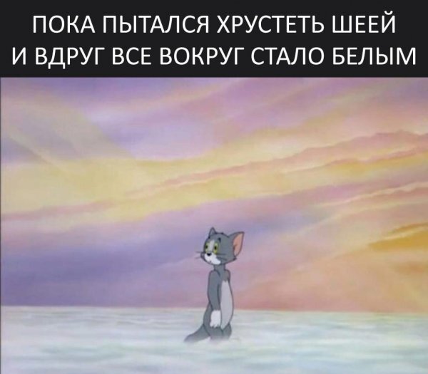 Немного забавных картинок