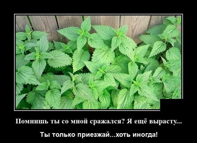 Картинки с надписями 7.08.22
