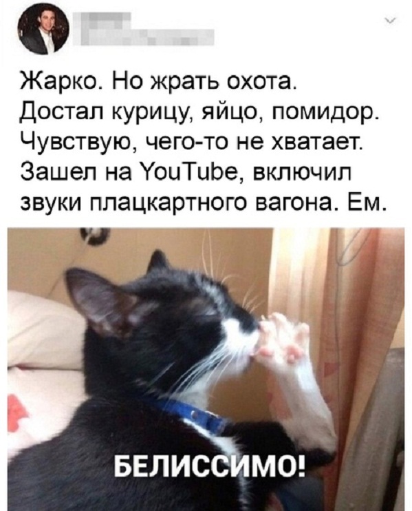 Картинки и мемы для настроения - 21