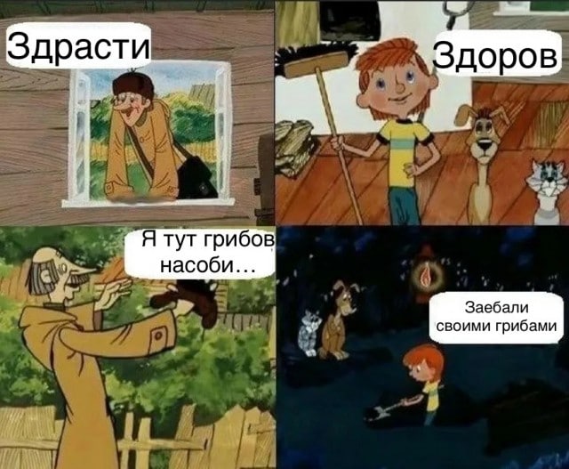 Грибы видишь? Нет. А они есть
