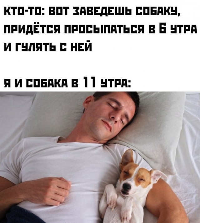 Картинки и мемы для настроения - 133