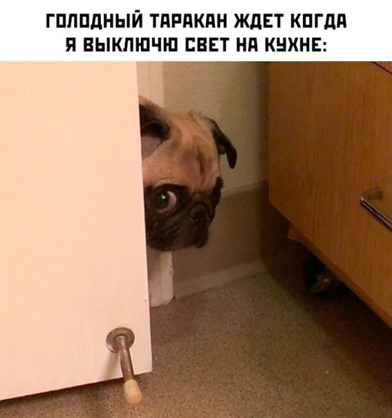 Немного картинок для настроения - 131