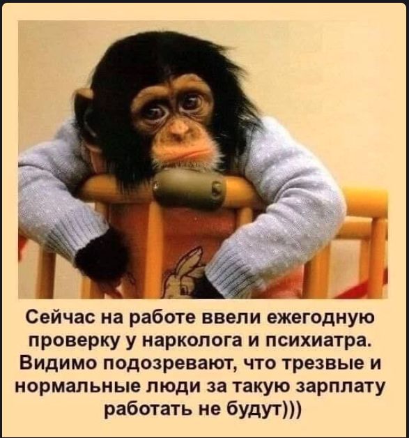 Рабочие восстали из-за алкотестеров на проходной завода в Волжском