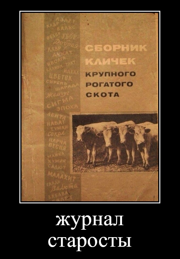 Картинки и мемы, всем хороших выходных
