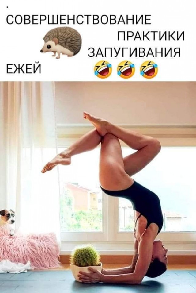 Картинки и мемы, это май-чародей всяко разно - 177