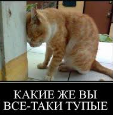 Когда началась и закончилась Вторая мировая война? Опрос москвичей.