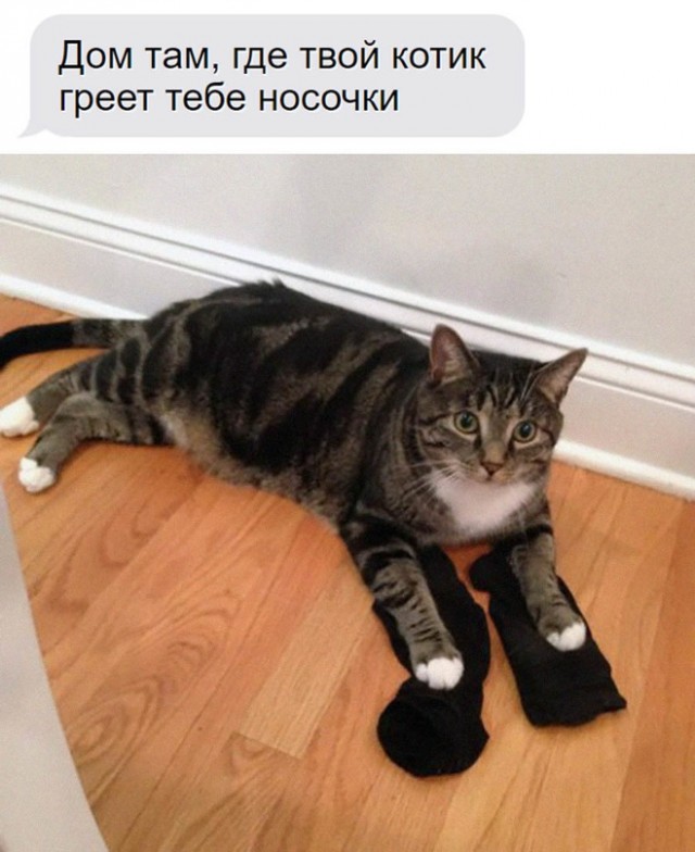 Картинки и мемы, всяко разно - 181