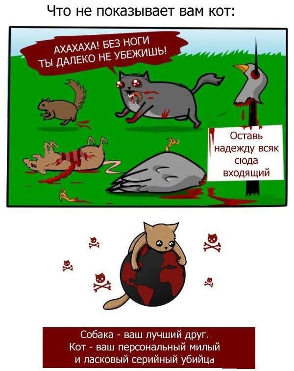 Чёрно-пошлая деградация