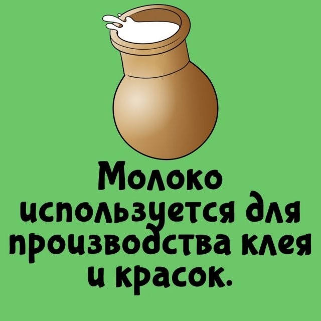 Подборка интересных фактов на все случаи жизни
