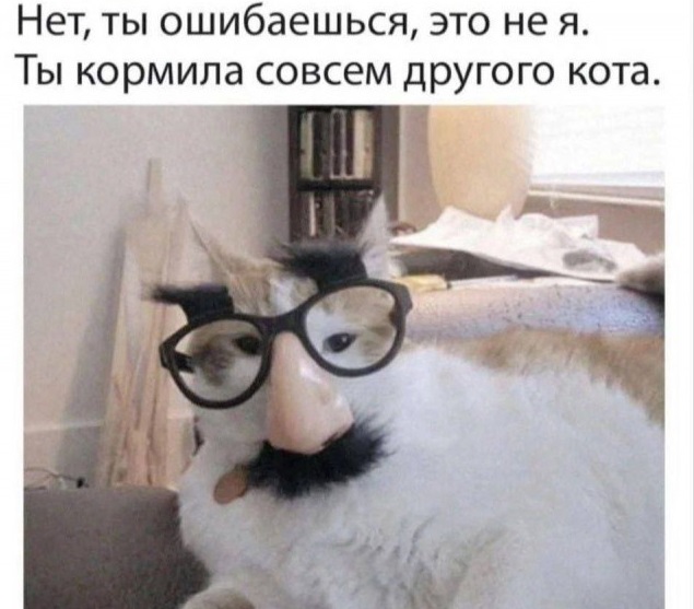 Так себе картинки 16.10.24