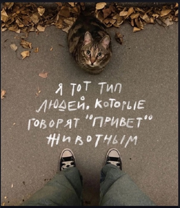 Картинки разные с надписями и без