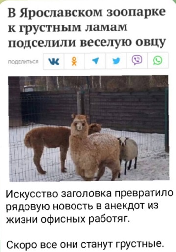 Это потому что я чёрный?