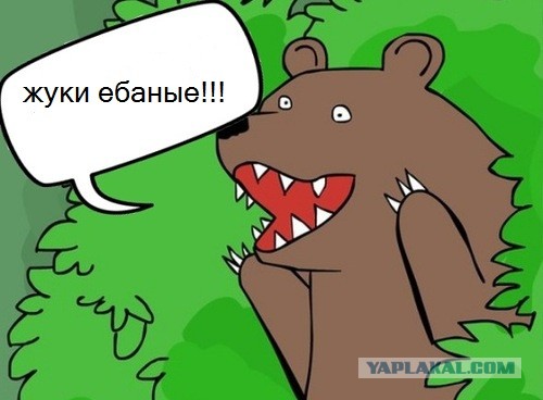 Жесть в питерском дворе (Гарлем Шейк)