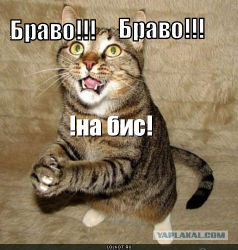 Прислали анекдот