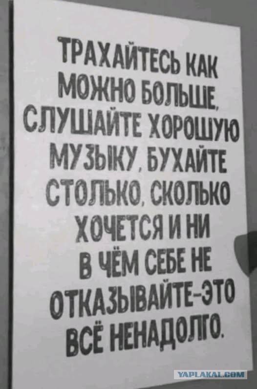 Воскресные картинки