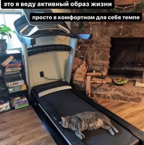 Котямбосы