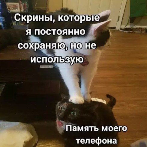 Картиночки, баянчики 09 апреля