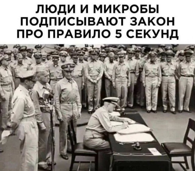 Картинки для деградации 183 (разной степени свежести)