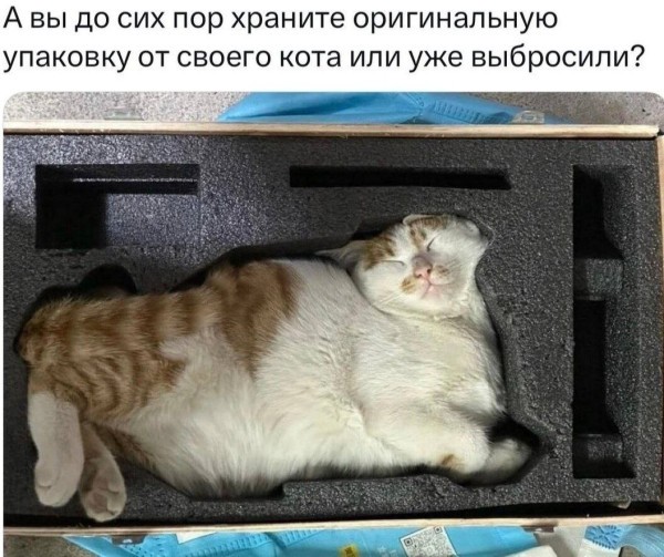 Картинки для деградации 188 (разной степени свежести)