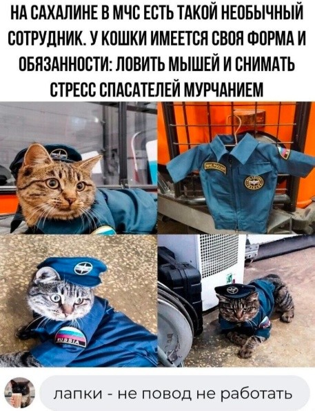 Картиночки, баянчики 25 апреля