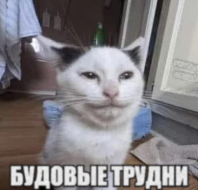 Картинки для деградации 223 (разной степени свежести)