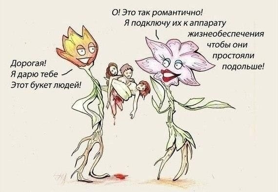 Сегодня мужчины обязаны дарить женщинам цветы, — эксперты