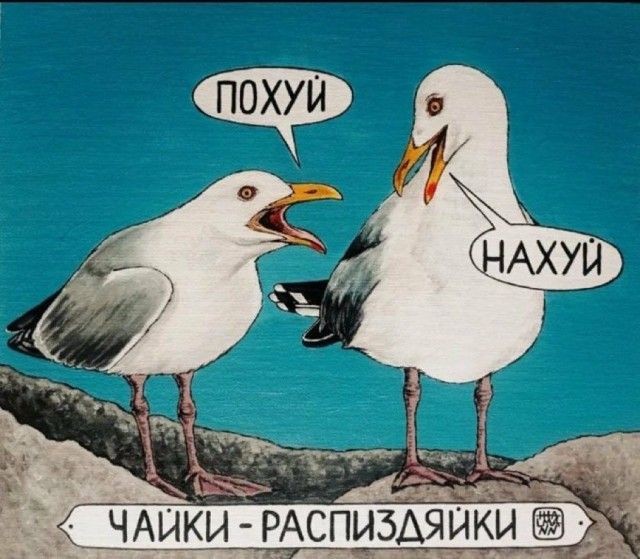Веселые картинки в пятницу (23.10)