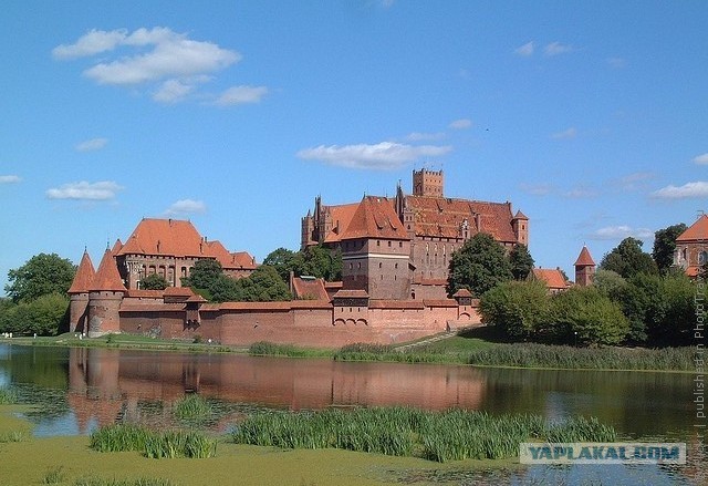 10 удивительных фактов о рыцарях