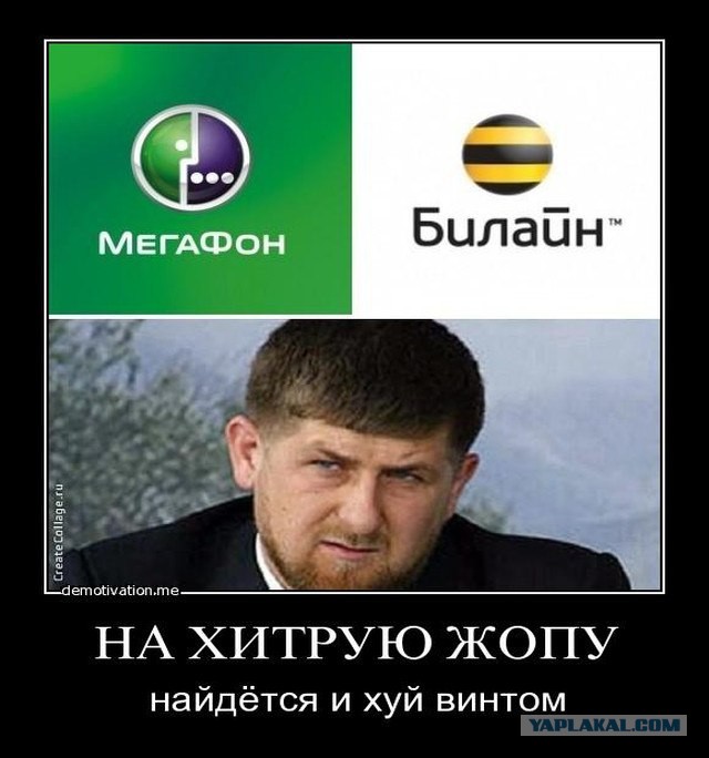 Билайн закрыл все офисы в Чечне