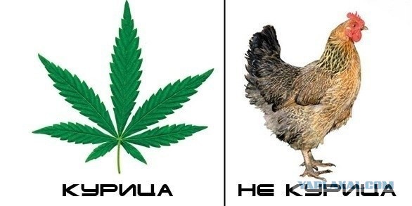Кто наркоман?