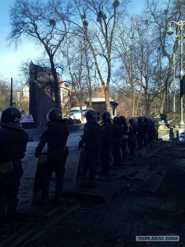 "Георгиевские " ленточки против флагов УПА