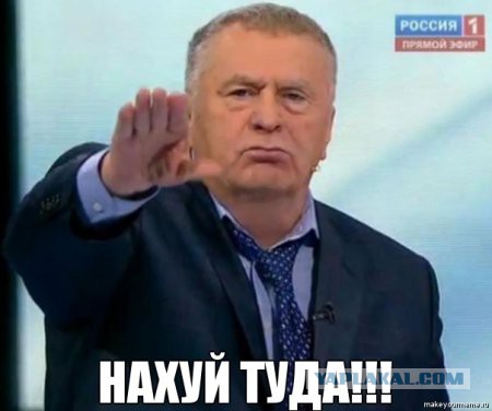 1,1 млн человек требуют пересмотра итогов женской