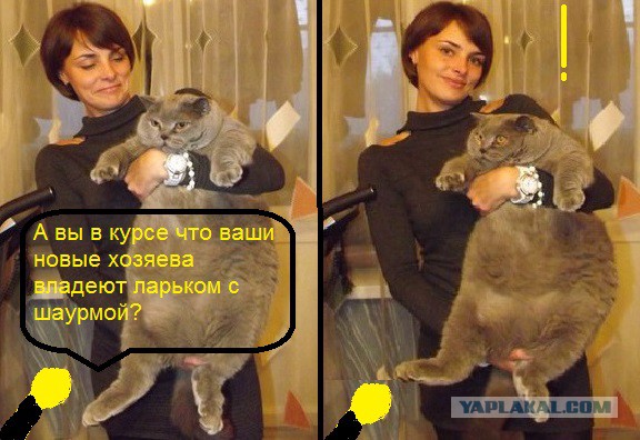 Наш малыш