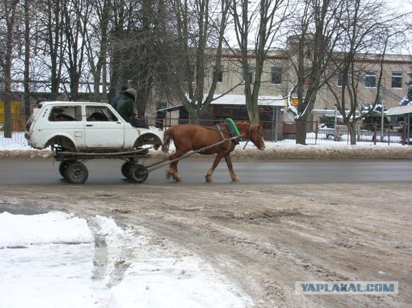 Такое возможно только в России